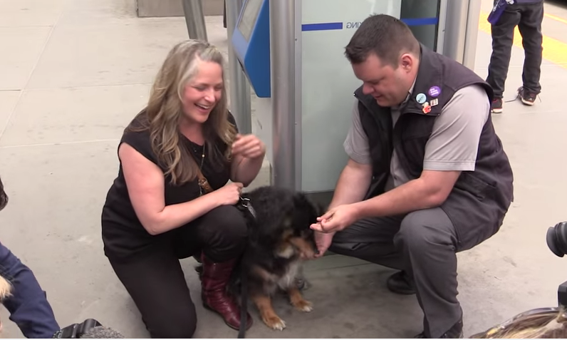 Train Operator Rescues Lost Dog